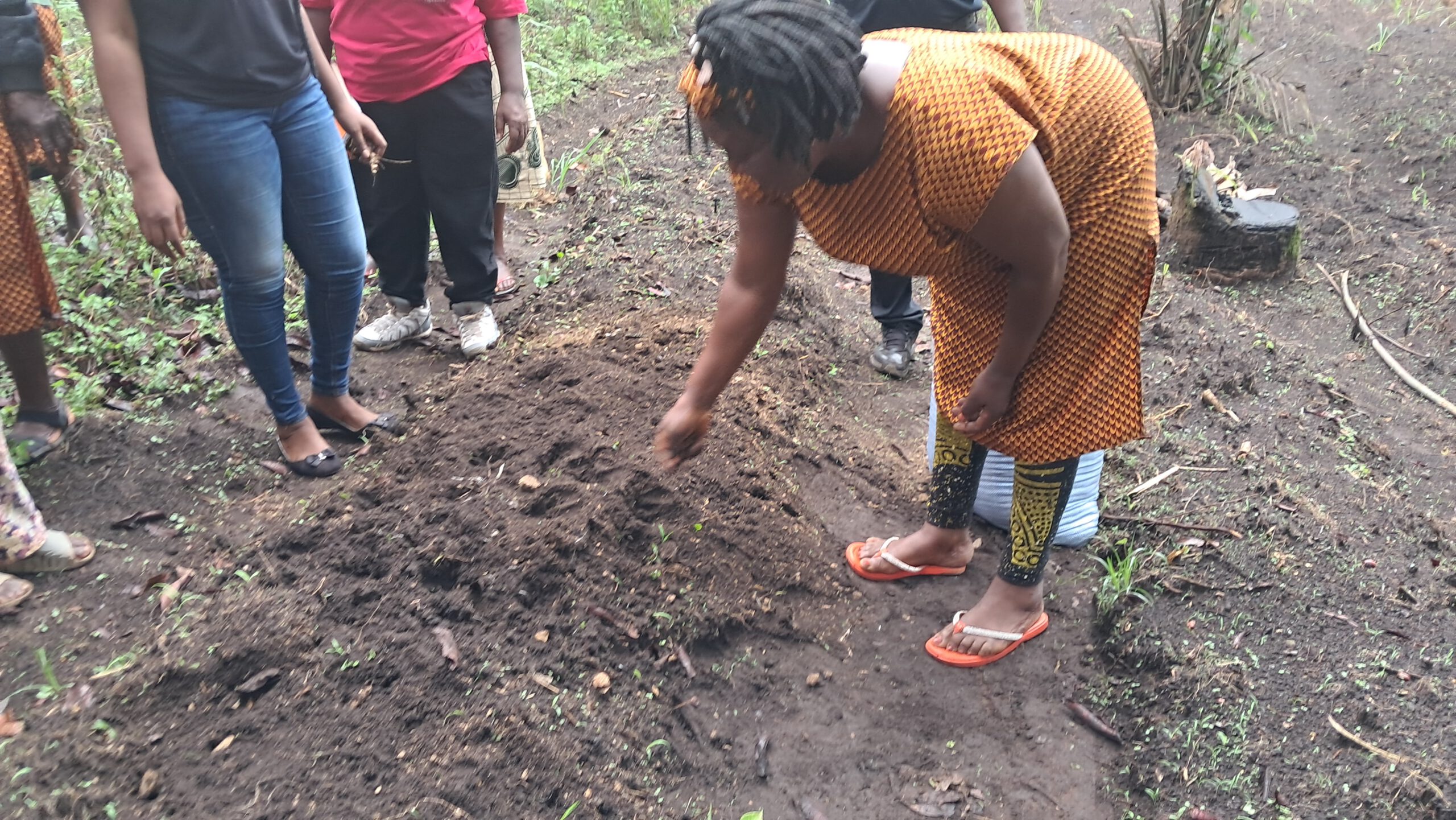 Composting