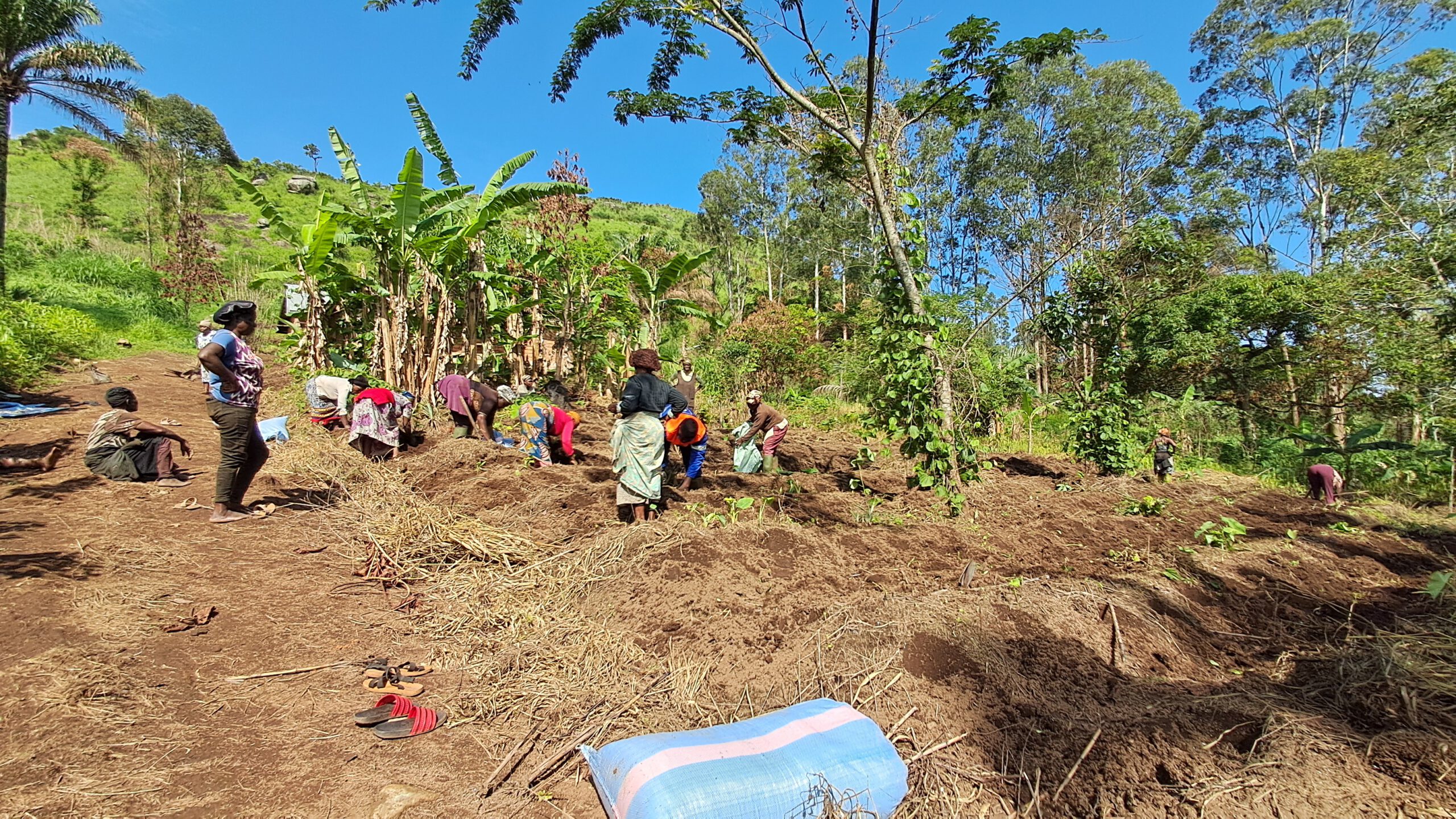 Composting